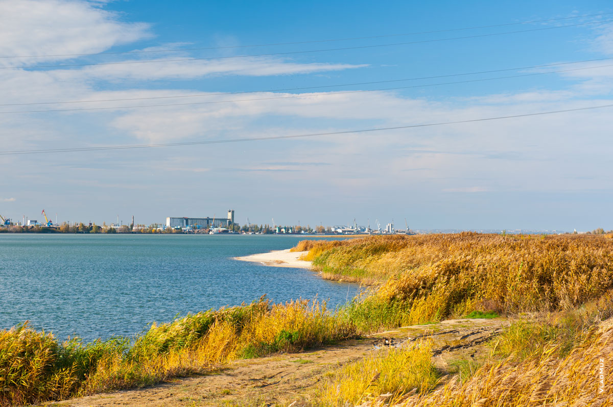Тростник на берегу Сухо-Соленовского залива, прибрежные постройки и портовые краны